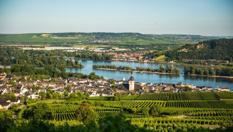 Rüdesheim | © Henry Tornow, Romantischer Rhein Tourismus GmbH