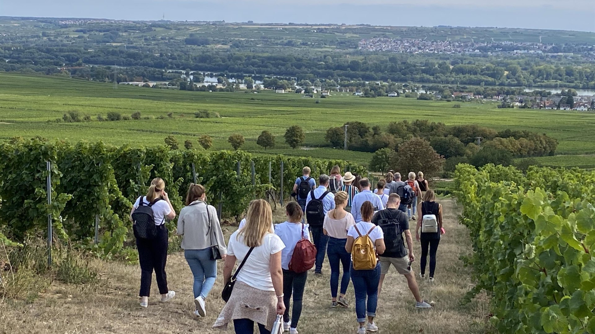 Weinwanderung mit Weingut Bibo Runge | &copy; Weingut Bibo Runge