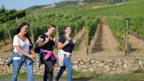 Wandern in R&uuml;desheim | &copy; DeinWein, R&uuml;desheim Tourist AG