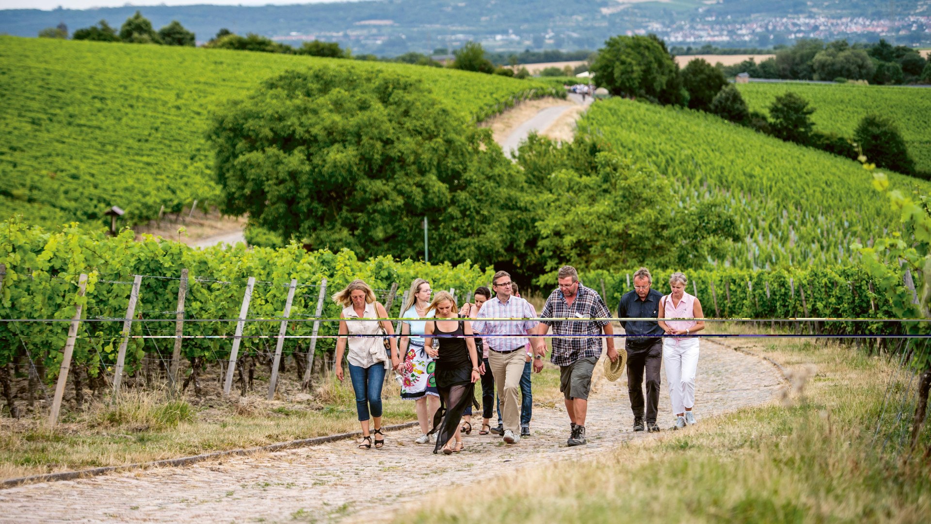 foto-hinter-die-mauer | © Weingut Kloster Eberbach foto-hinter-die-mauer | © Weingut Kloster Eberbach
