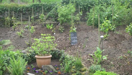 Neubeflanzung | © Landgasthof Zum weissen Schwanen Neubeflanzung | © Landgasthof Zum weissen Schwanen