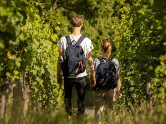 So schmeckts im Rheingau | &copy; Balthasar Ress