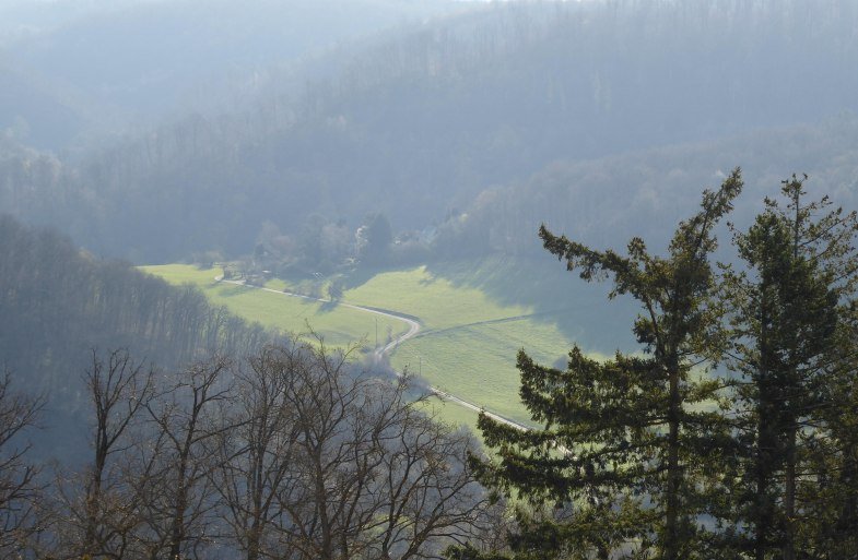 Blick vom Balkon in den gr&uuml;nen Heilwald | &copy; Schr&ouml;ter-Bukvic
