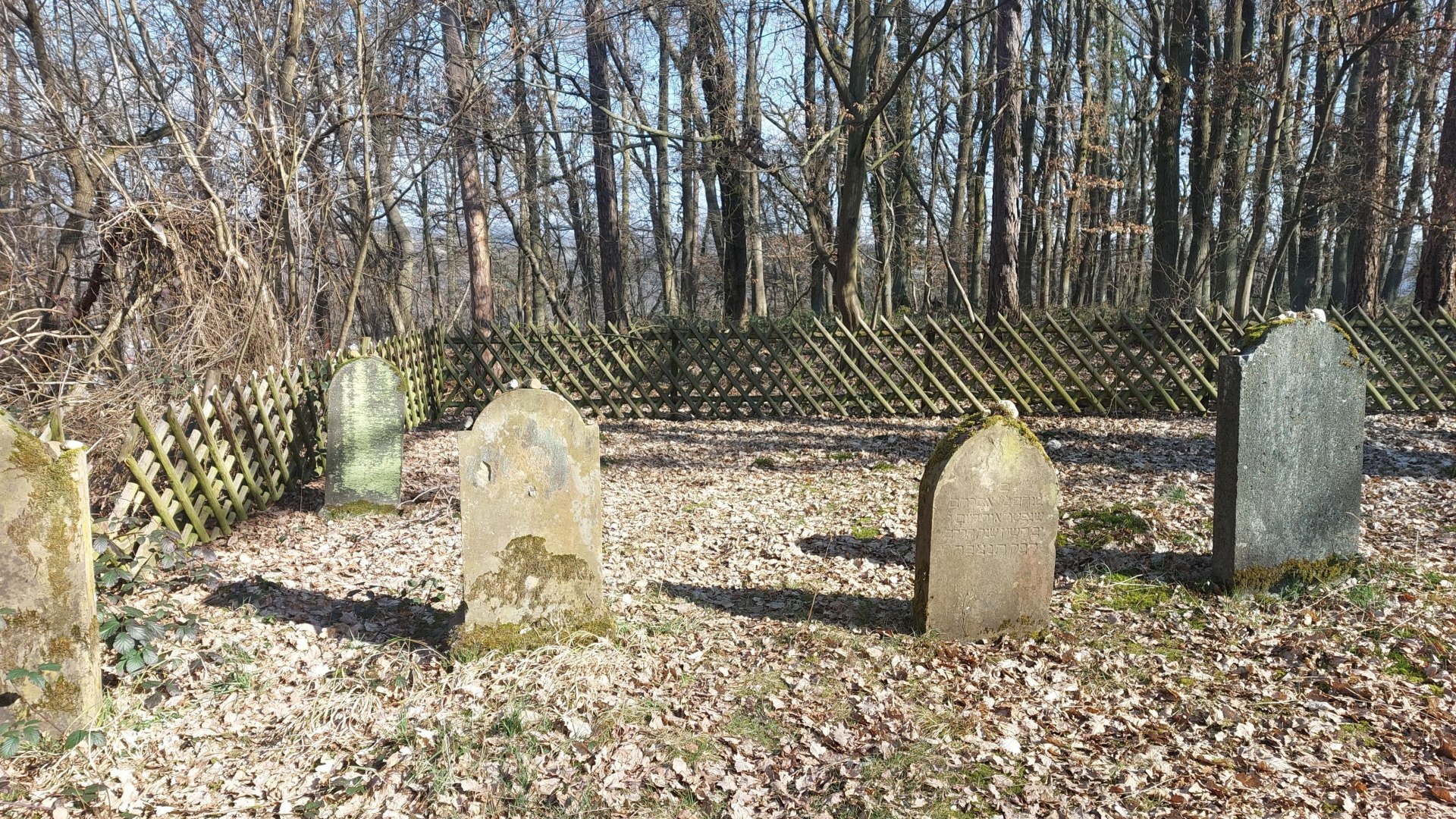 Friedhof | © TI Elrebnis Rheinbogen Friedhof | © TI Elrebnis Rheinbogen