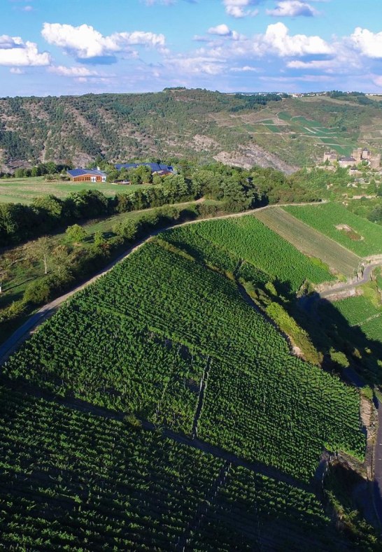 Weingut Lanius-Knab Engeh&ouml;ller Bernstein Am Lauerb | &copy; Lanius-Knab