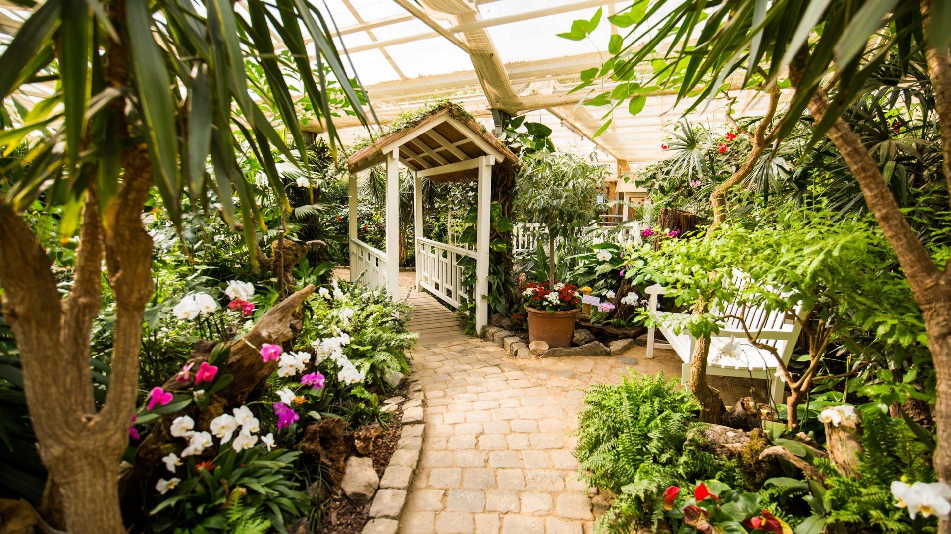 Garten der Schmetterlinge_ | © Henry Tornow/Romantischer Rhein Tourismus GmbH Garten der Schmetterlinge_ | © Henry Tornow/Romantischer Rhein Tourismus GmbH