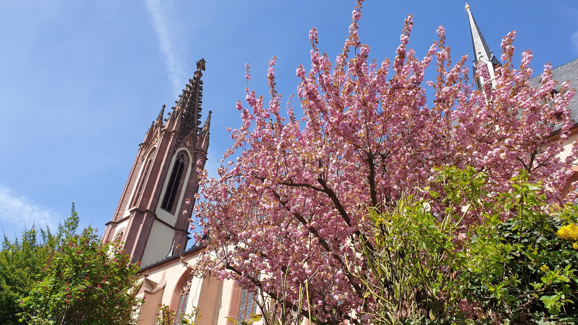 DOM | &copy; Hochschulstadt Geisenheim
