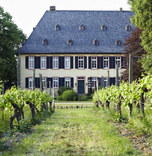 Weingut Baron Knyphausen | © Weingut Baron Knyphausen