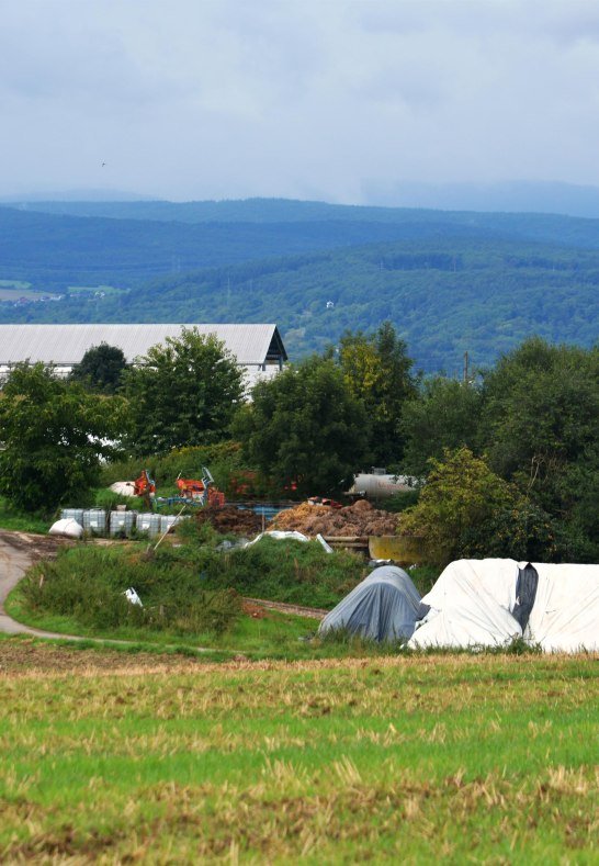 Br&uuml;ckners L&auml;dchen3 | &copy; Manfred und PIa Br&uuml;ckner