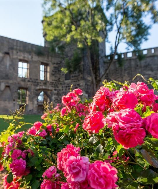 Schlossgarten | &copy; 90 Grad Photography/Hilger & Schneider GbR