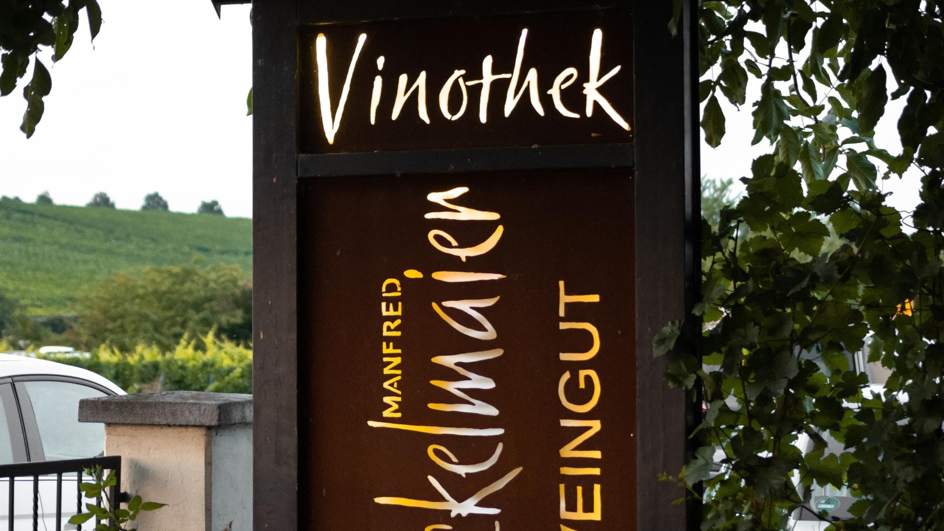 DSC_3772 | © Weingut Bickelmaier