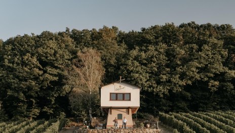 InesBarwig_WeingutDiefenhardt_VisualKey-10 | &copy; Weingut Diefenhardt