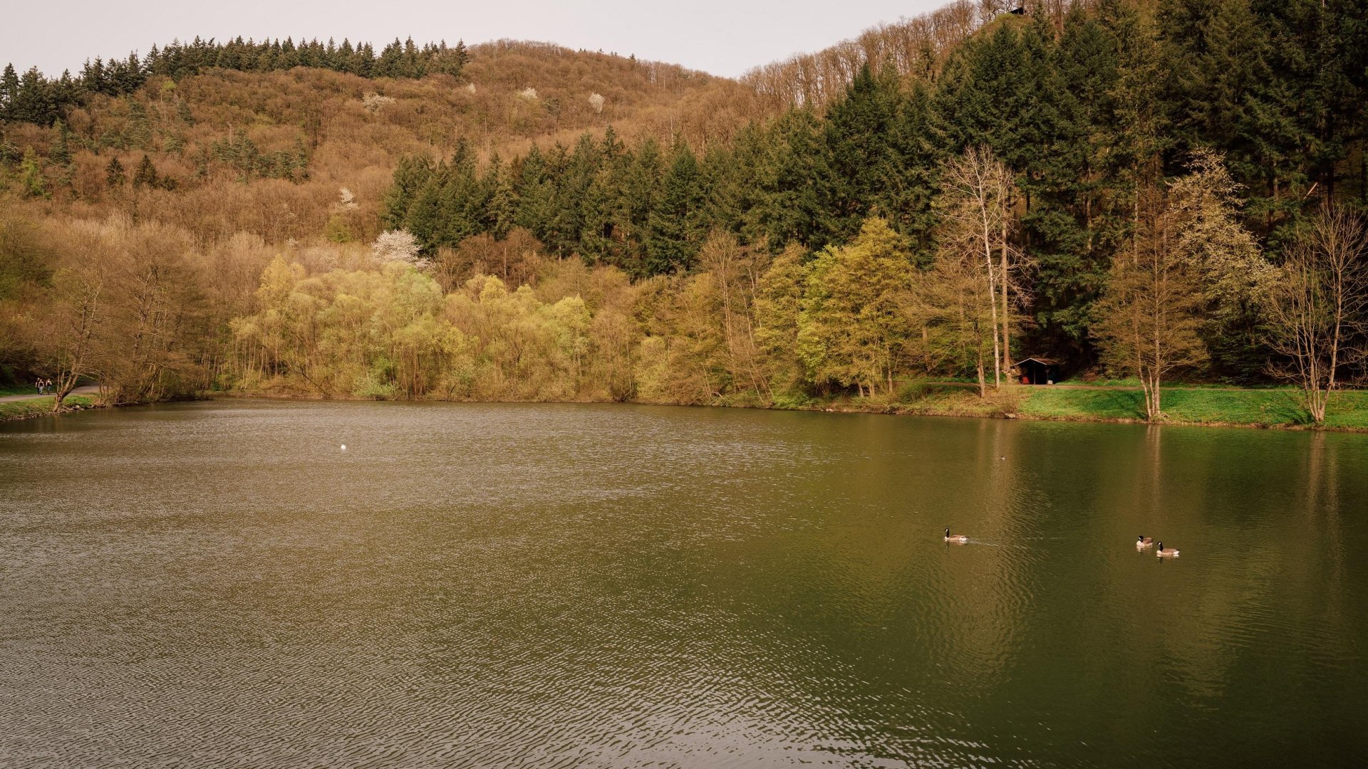 Der Schwanenteich | © Zinmpfer_Photography Der Schwanenteich | © Zinmpfer_Photography