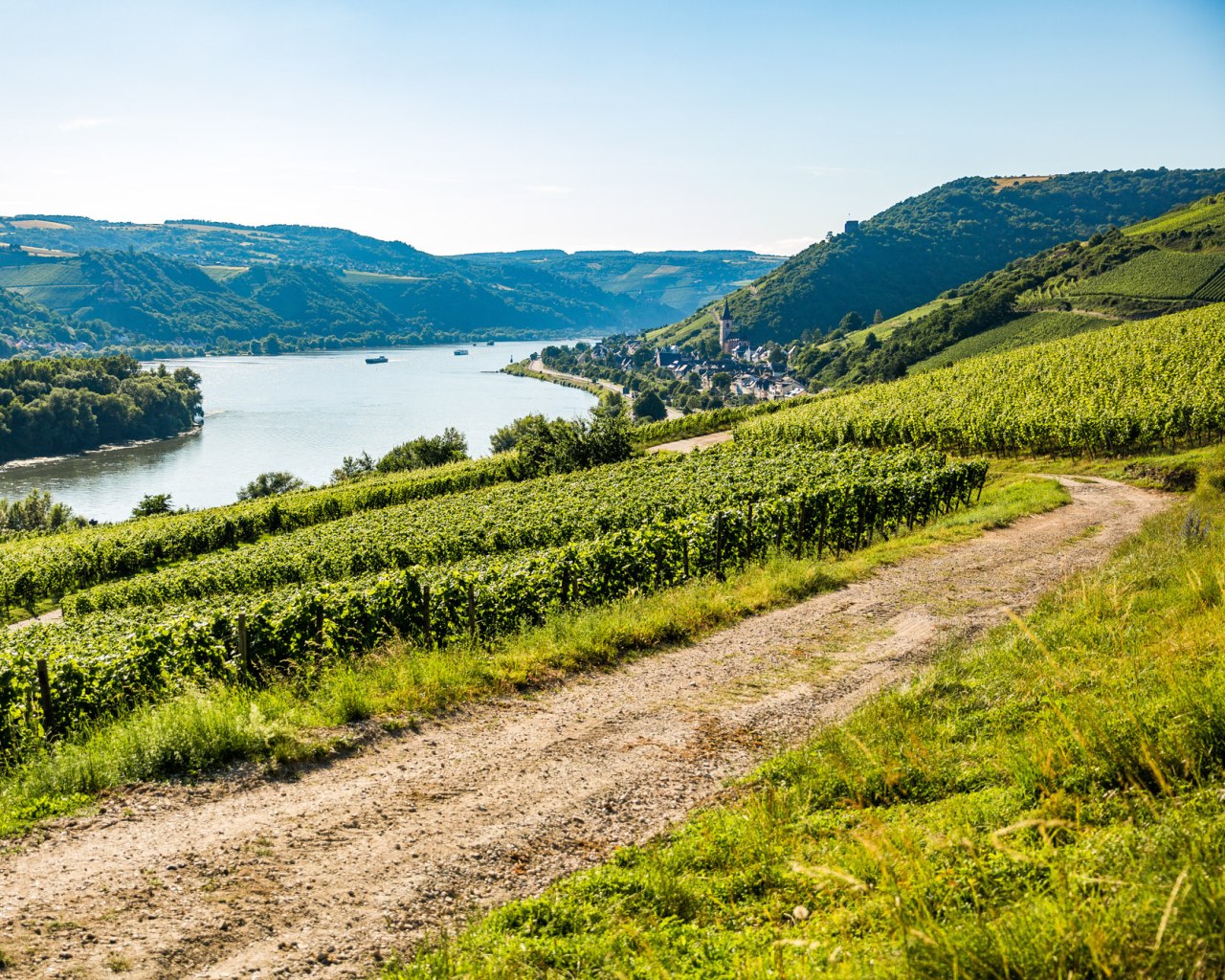 View of Lorch | &copy; Henry Tornow