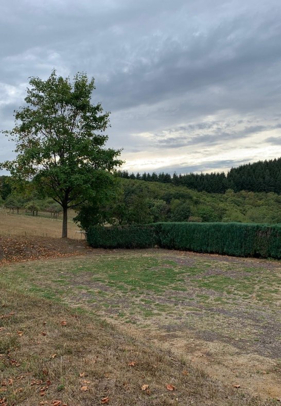 Rheingoldsch&auml;nke Stellplatz gro&szlig;1 | &copy; M.Schneider