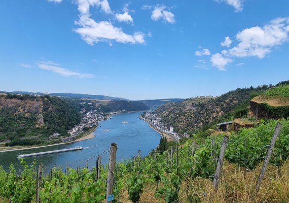 Weinberge | © Ulrike Dallmann Weinberge | © Ulrike Dallmann