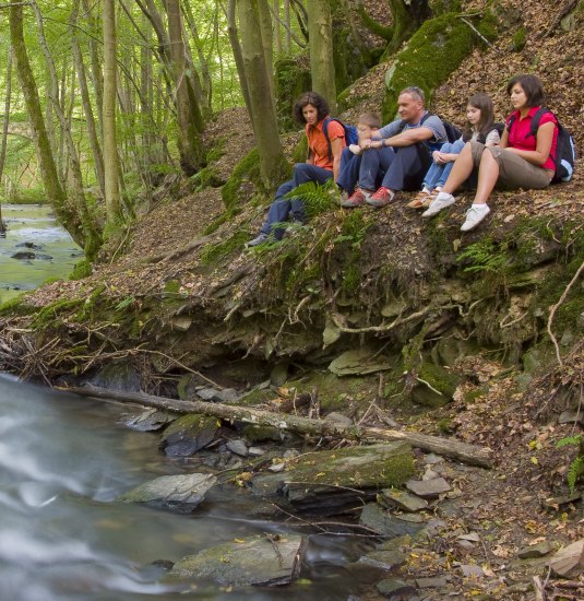 Traumpfad Saynsteig - Rest in the Brexbach valley | © Klaus-Peter Kappest / REMET