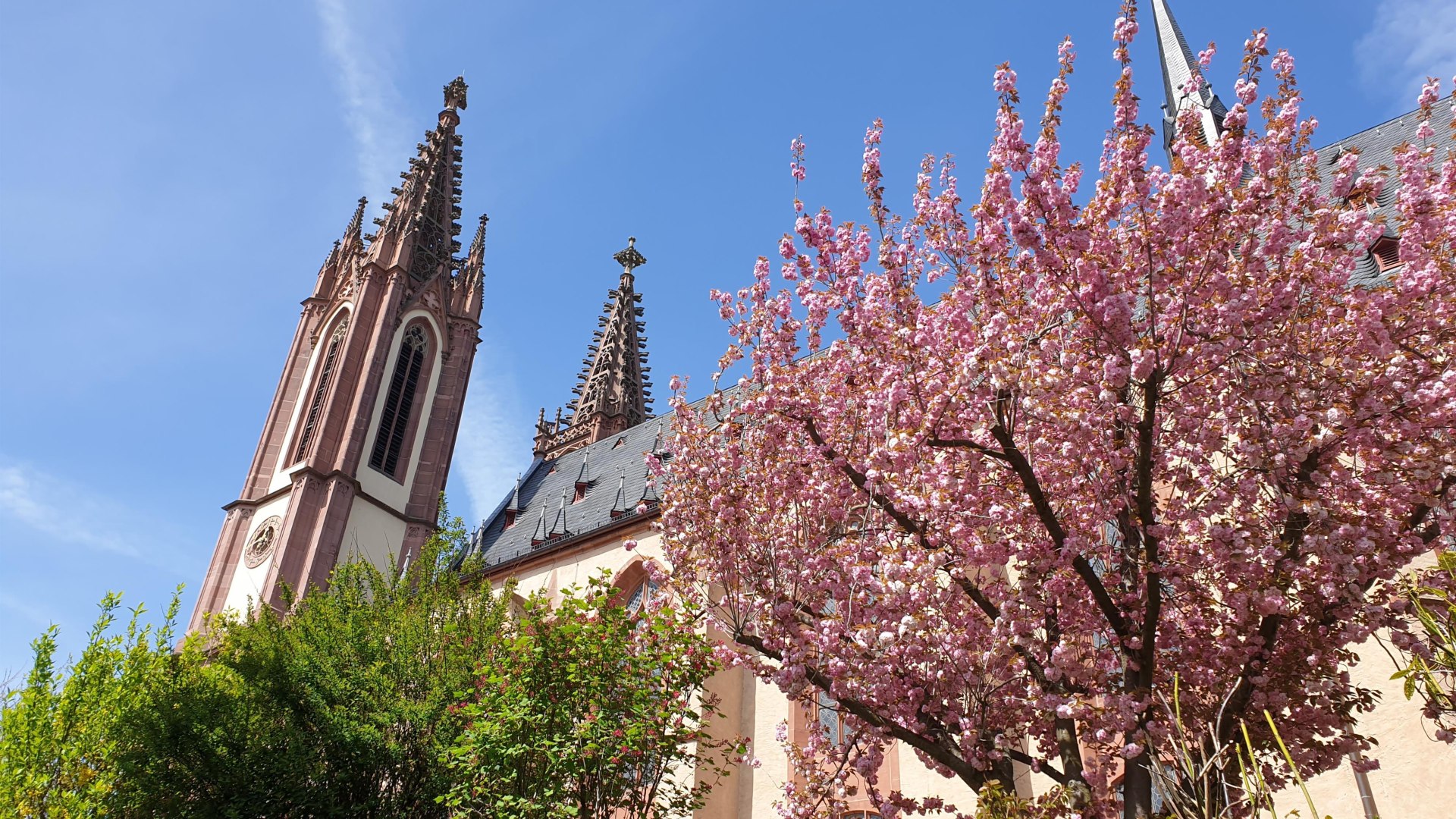 Rheingauer Dom Geisenheim | © Hochschulstadt Geisenheim