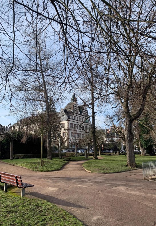 Rheinanlagen Spaziergang | © Tourist Information Rheinanlagen Spaziergang | © Tourist Information