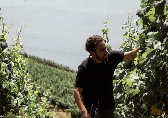 A. Schregel | &copy; Weingut Schregel