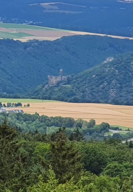 Turm Spitzer Stein Burg Maus | &copy; TI Hunsr&uuml;ck-Mittelrhein