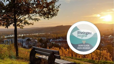 Blick vom Rothnberg | © Hochschulstadt Geisenheim Blick vom Rothnberg | © Hochschulstadt Geisenheim
