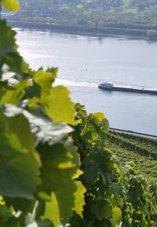 DSC_0391 | &copy; Fam.Lorenz