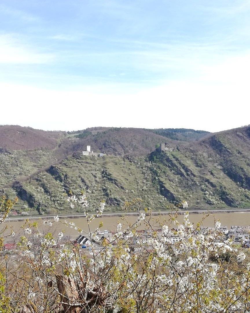 Feindliche Br&uuml;der | &copy; Petra Winkler