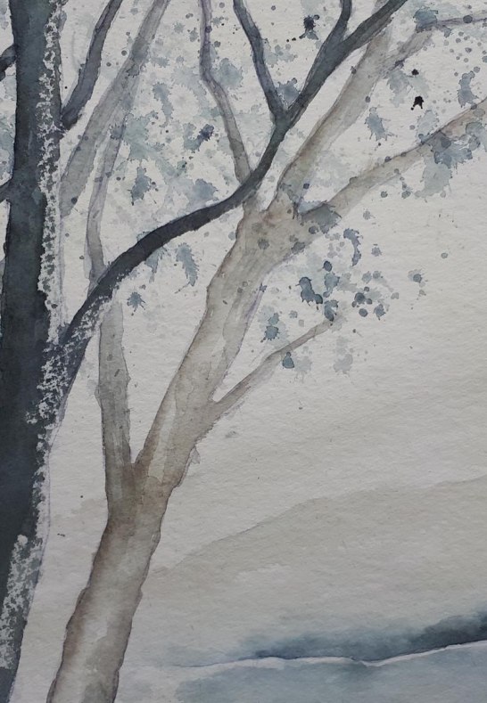 B&auml;ume in der kalten Jahreszeit | &copy; Hans-Joachim Schmitz