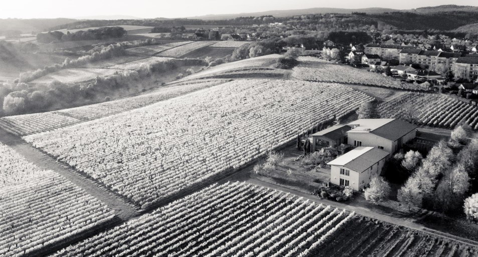 Luftbild Weingut Freimuth | © Weingut Freimuth Luftbild Weingut Freimuth | © Weingut Freimuth