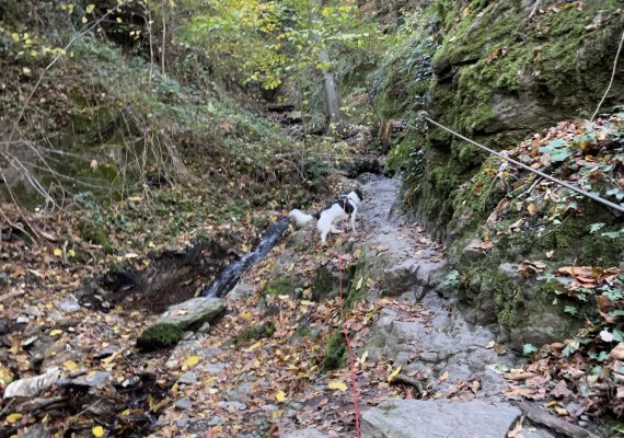 Ruppertsklamm Lahnstein 3 | © Stadt Lahnstein Ruppertsklamm Lahnstein 3 | © Stadt Lahnstein