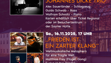 Herbsttöne Johannes Dicke Trio | © Stiftung Sayner Hütte Herbsttöne Johannes Dicke Trio | © Stiftung Sayner Hütte
