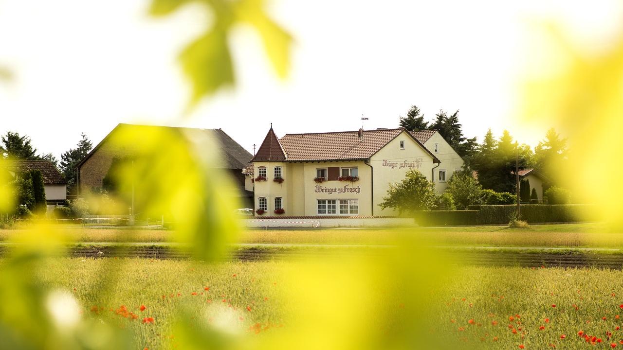 Weingut Frosch | © Weingut Frosch Weingut Frosch | © Weingut Frosch