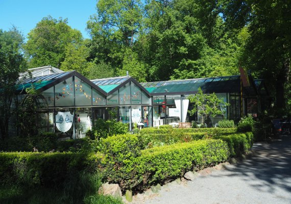 Schmetterlingsgarten außen | © Stadtverwaltung Bendorf Schmetterlingsgarten außen | © Stadtverwaltung Bendorf