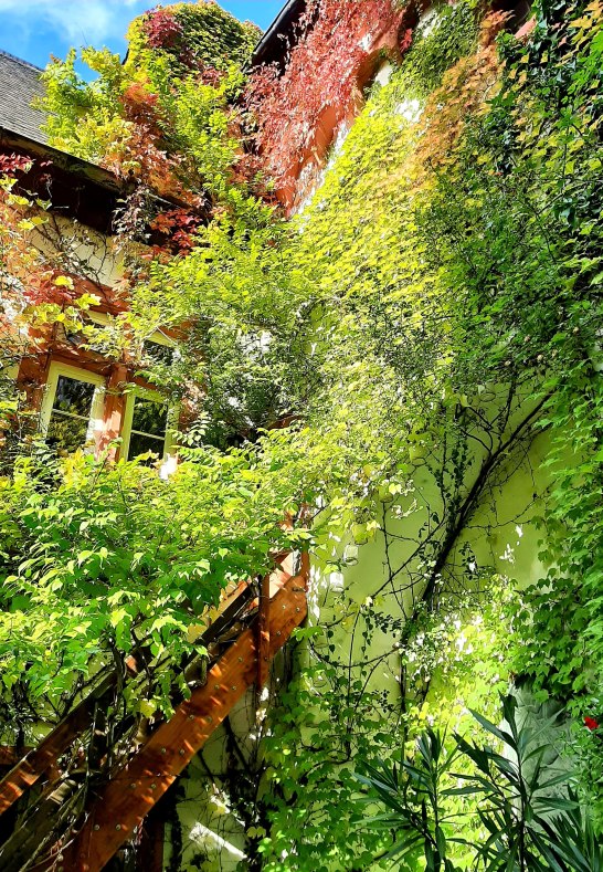 Schloss Martinsburg II | &copy; Stadt Lahnstein