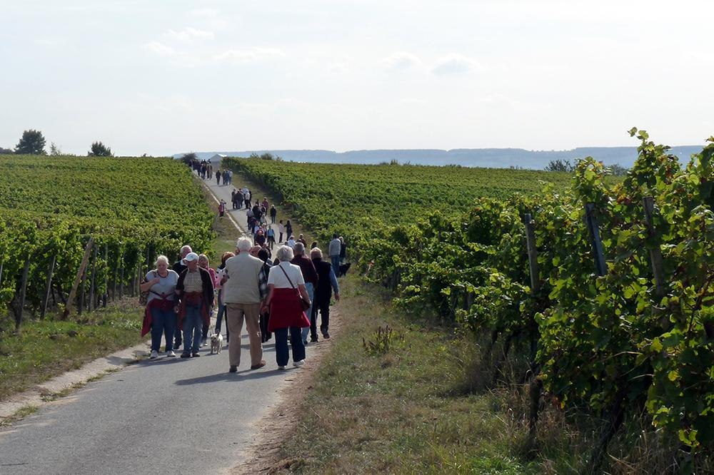 NaturPur | &copy; Wein- und Sektgut Barth