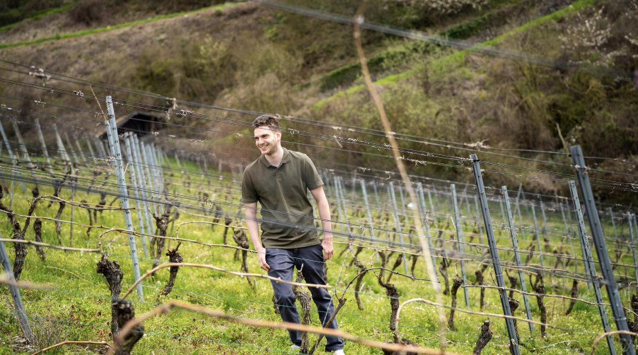 Weingut Loos | &copy; Loos
