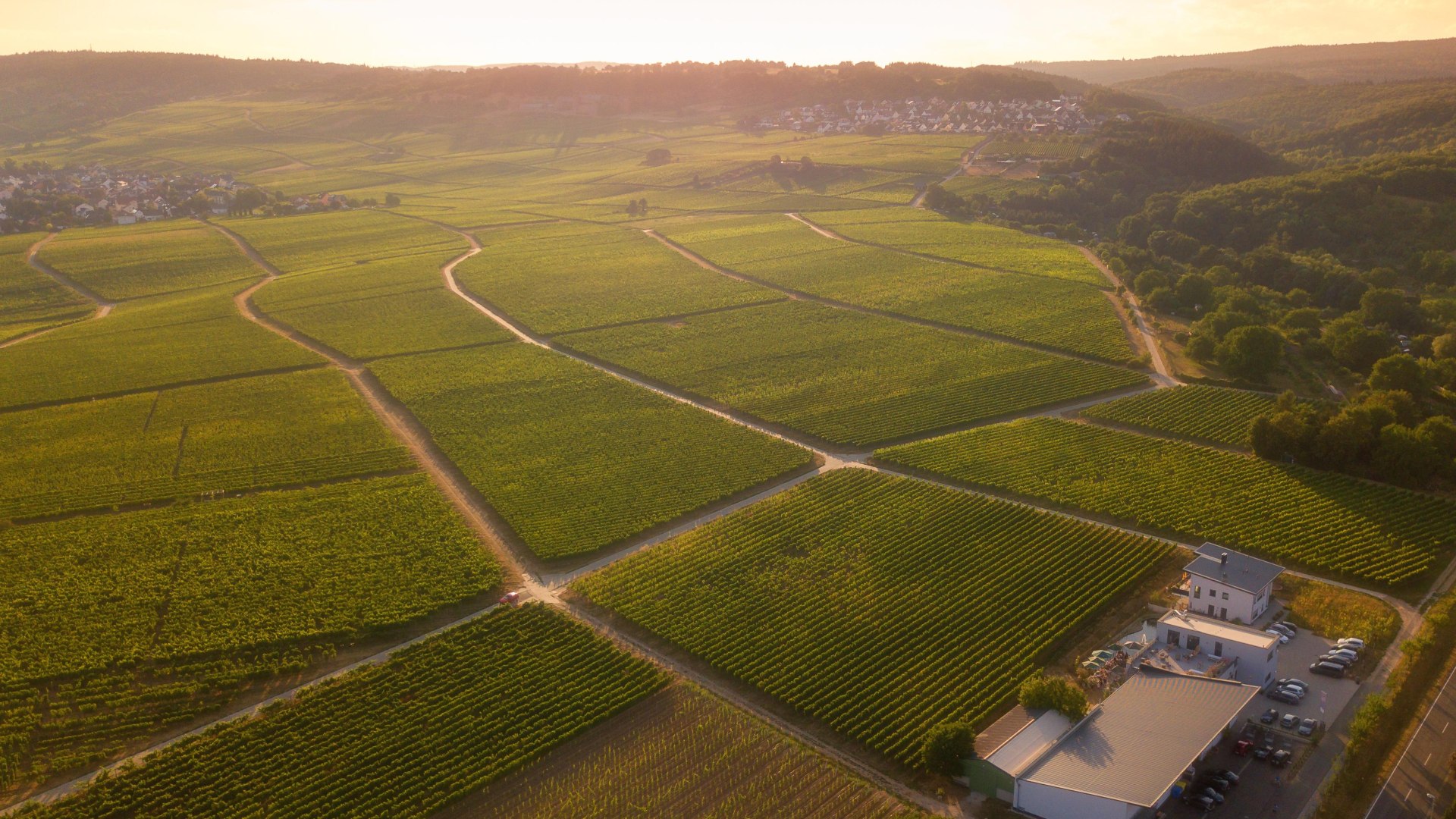 Weingut Sohns | © Weingut Sohns Weingut Sohns | © Weingut Sohns