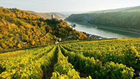 Blick auf Kaub | &copy; Dominik Ketz, Mittelrhein