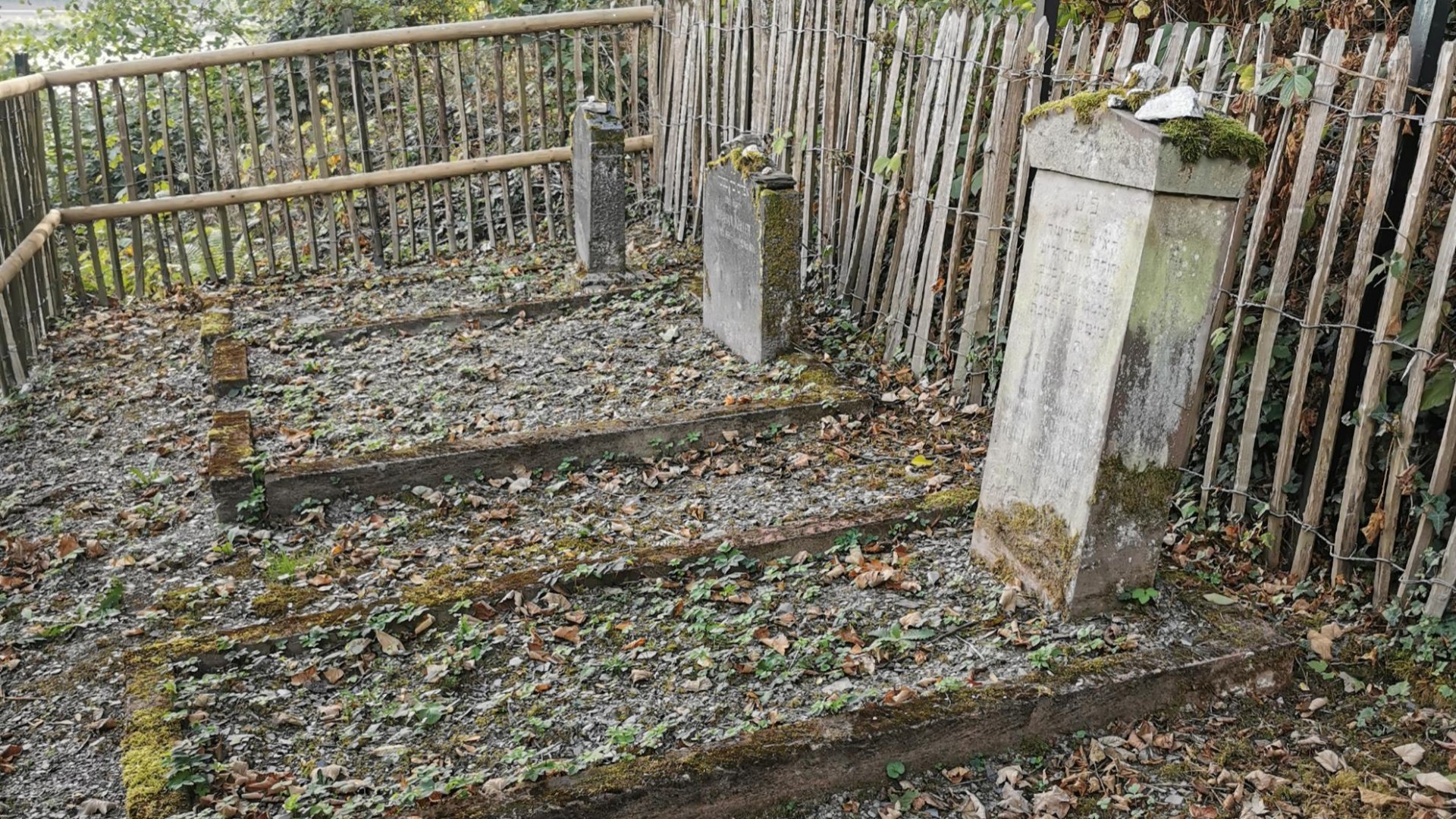 Judenfriedhof | &copy; Sabine Pilger