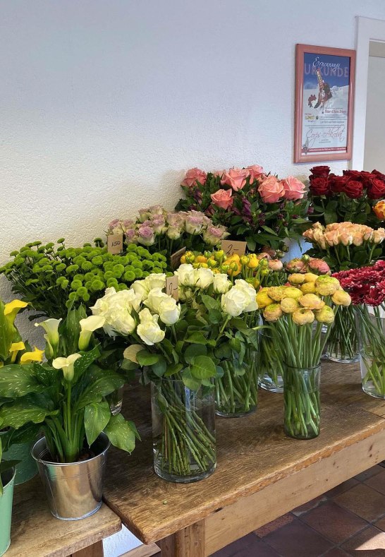 Frings 3 | &copy; Peter Frings