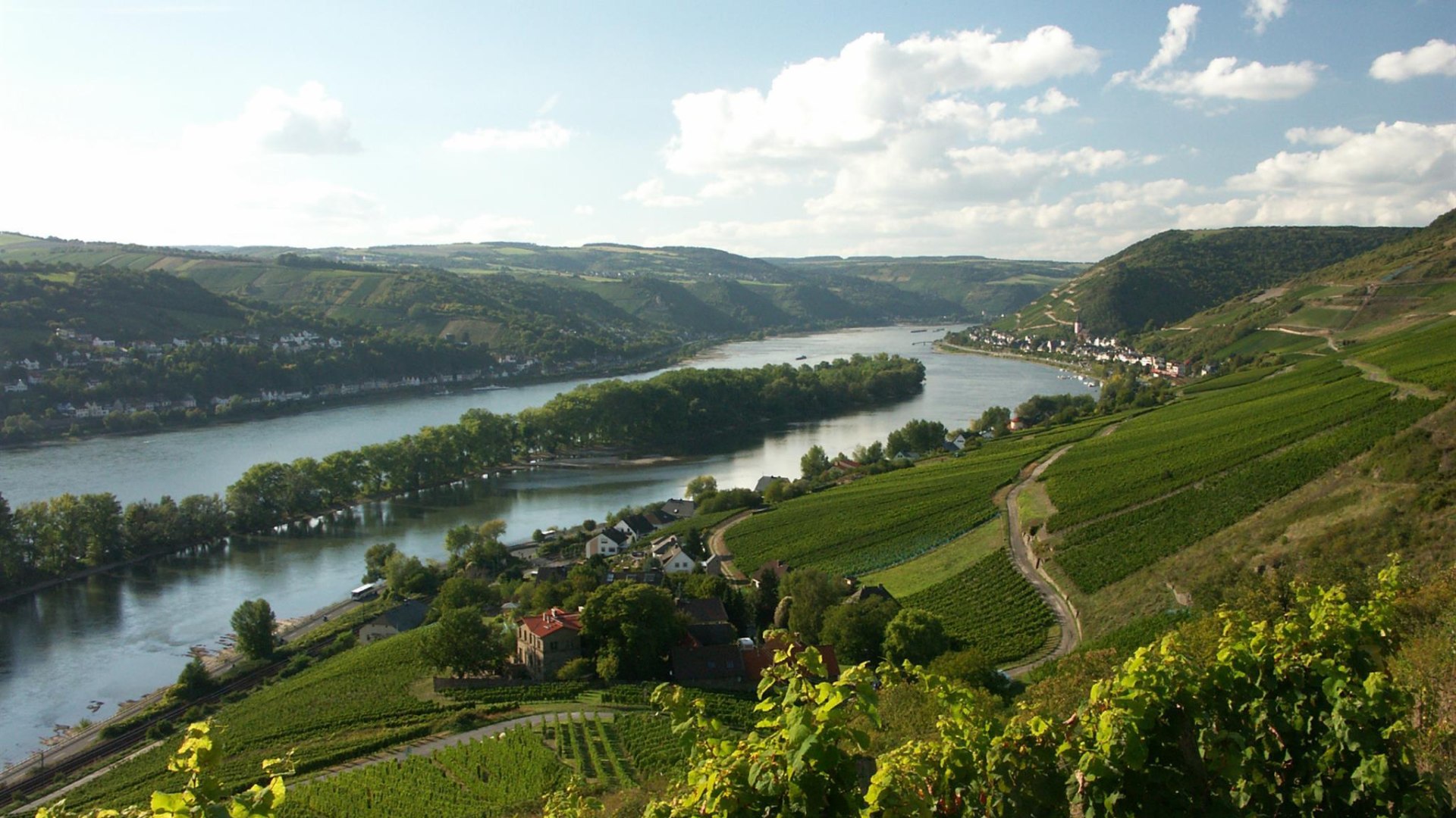 Rhein bei Lorch | &copy; Weingut Laquai