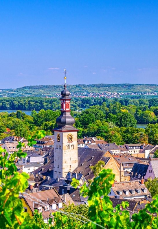 iStock-1254860541 - Kopie | &copy; Aliaksandr Antanovich, iStock