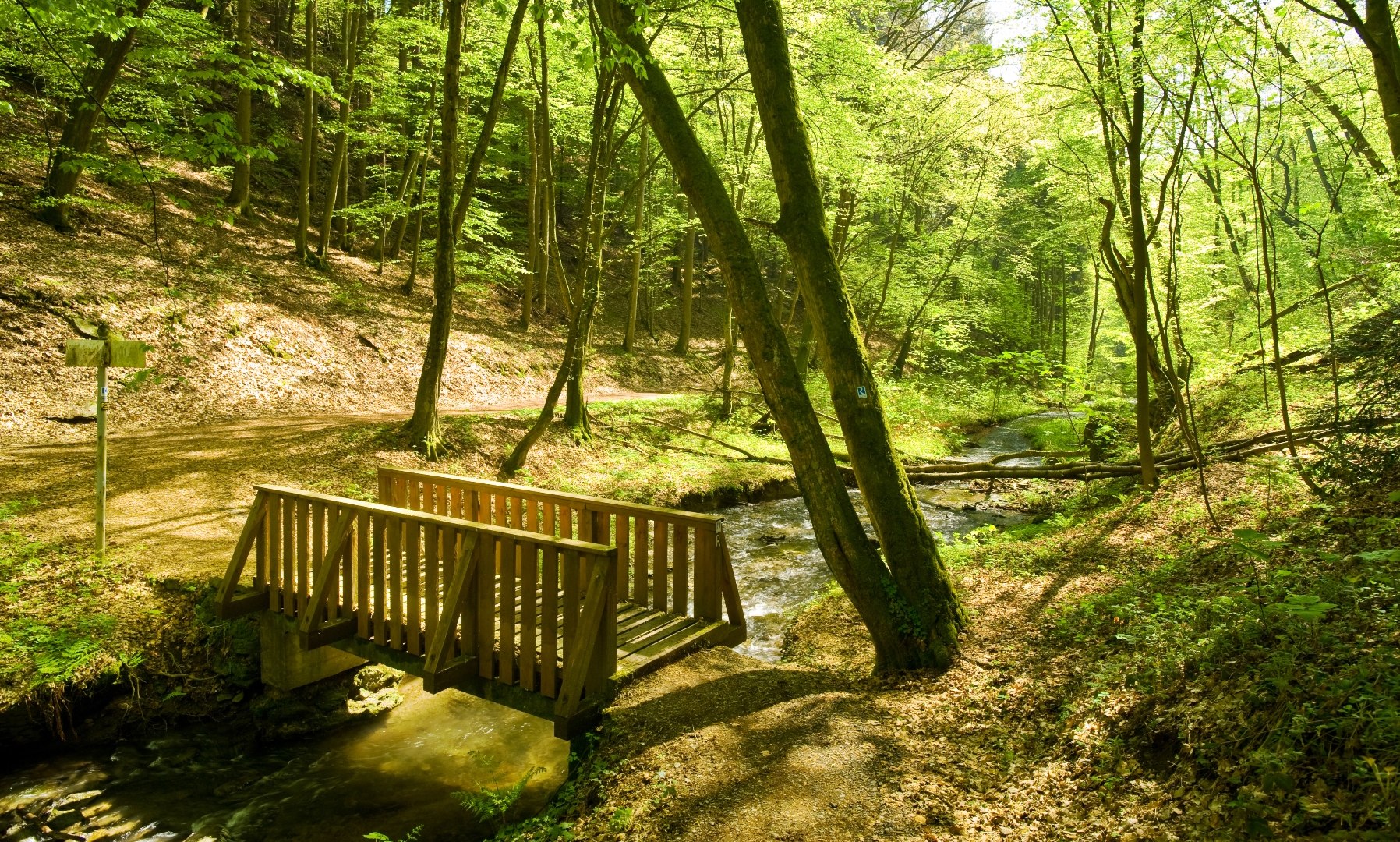 Völkerwiesenbachtal near Rengsdorf | © Dominik Ketz / Rheinland-Pfalz Tourismus GmbH Völkerwiesenbachtal near Rengsdorf | © Dominik Ketz / Rheinland-Pfalz Tourismus GmbH