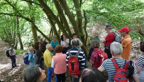 NaturErbe | © Werner Sopp NaturErbe | © Werner Sopp