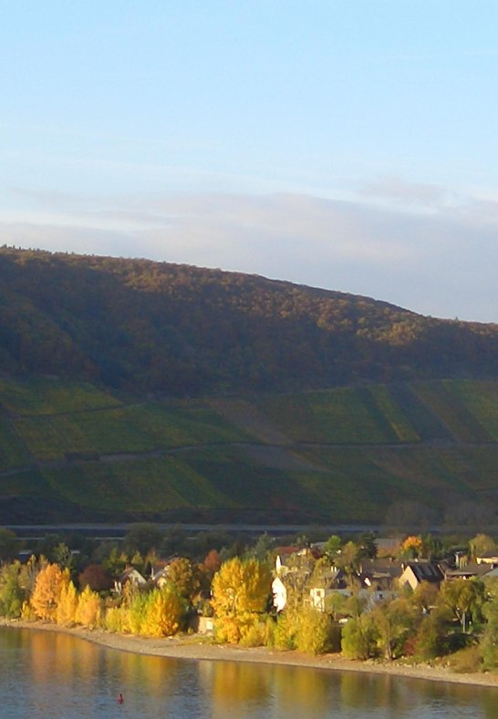 Filsen | &copy; Reifferscheid