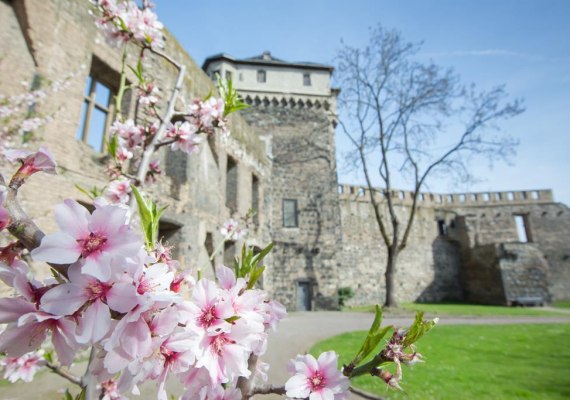 Burgruine | © 90 Grad Photography/Hilger & Schneider GbR Burgruine | © 90 Grad Photography/Hilger & Schneider GbR
