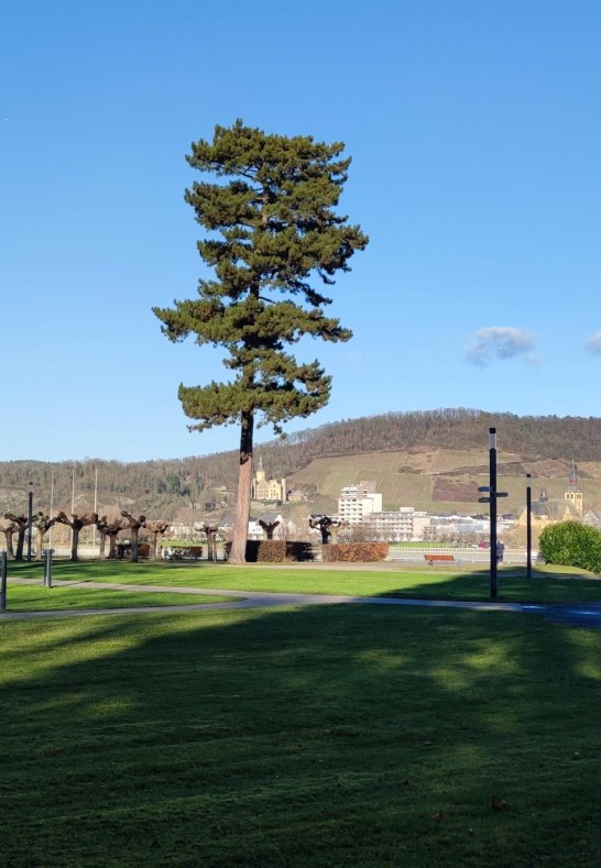 Kurpark Aussicht Bad H&ouml;nningen | &copy; Tourist-Information Bad Breisig