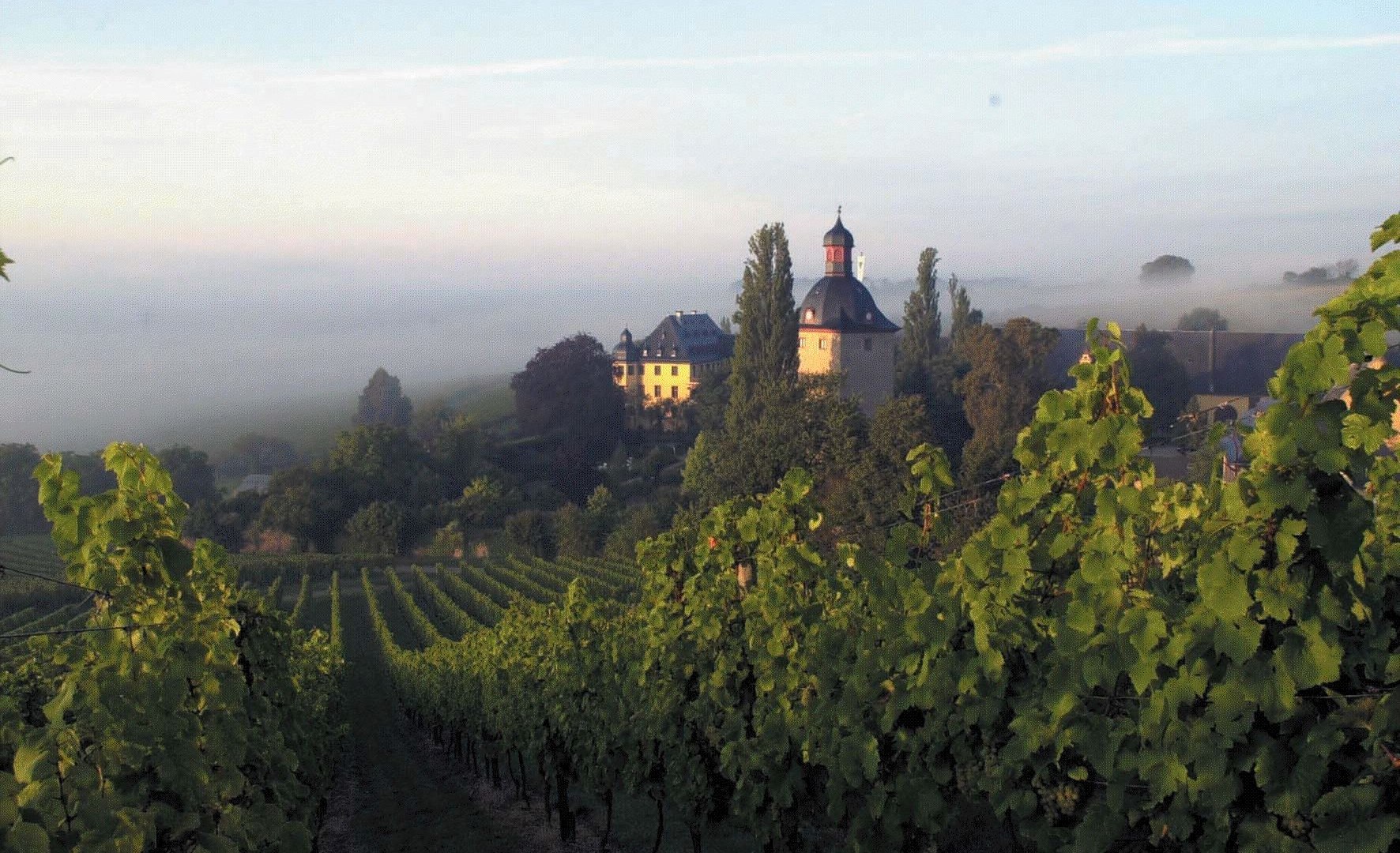 Vollrads Castle | © Romantischer Rhein Tourismus GmbH