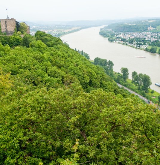 Blick auf Burg Rheineck | &copy; Dominik Ketz/Romantischer Rhein